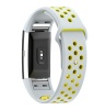 Silicone Sports Band for FitBit Charge 2 - Grey & Yellow Photo