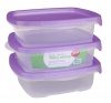 Gizmo - Take-Along Container - 500ml Set Of 3 Photo