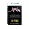 Exo Terra - Calcium Powder Supplement - 90g Photo