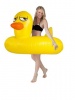 BigMouth Pool Float-Rubber Duckie Photo