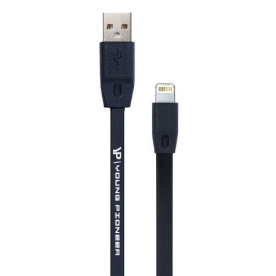 Photo of Young Pioneer 2M Fast Charge Lightning Cable - Black
