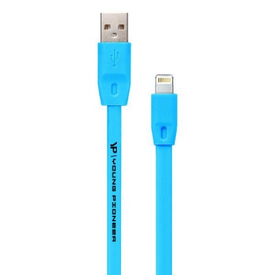 Photo of Young Pioneer 2M Fast Charge Lightning Cable - Blue