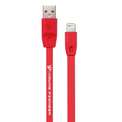 Photo of Young Pioneer 2M Fast Charge Lightning Cable - Red