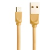 Young Pioneer 1M Data Sync Micro USB Cable - Gold Photo