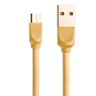 Photo of Young Pioneer 1M Data Sync Micro USB Cable - Gold
