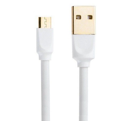 Photo of Young Pioneer 1M Data Sync Micro USB Cable - White