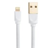 Young Pioneer 1M Data Sync Lightning IOS Cable - White Photo