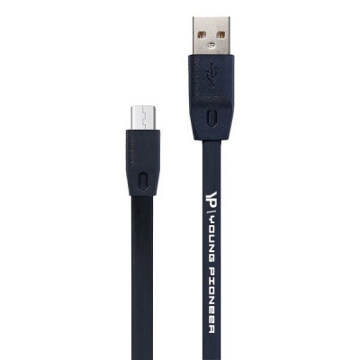 Photo of Young Pioneer 2m Fast Charge USB to Micro USB Cable - Black