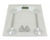 Personal Glass Scale Photo