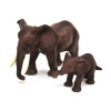 Wild Animals - Elephant And Calf Photo