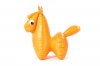 Fatra Little Horse Inflatable Riding Toy Photo