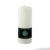 Clover Leaf Candles - Decor Pillar Candle - 4 x 13cm Photo