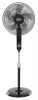Defy - Pedestal Fan - Black Photo