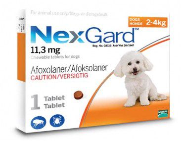 Photo of NexGard Chewables Tick & Flea Control for Small Dogs - 1 Tablet
