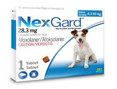 Photo of NexGard Chewables Tick & Flea Control for Medium Dogs - 1 Tablet