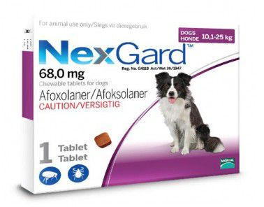 Photo of NexGard Chewables Tick & Flea Control for Large Dogs - 1 Tablet