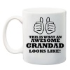 Qtees Africa This Is What An Awesome Grandadad Looks Like White Printed Mug Photo