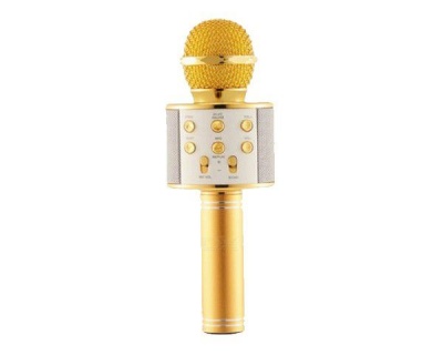 Photo of Everlotus Wireless Karaoke Microphone