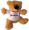 Qtees Africa I Love Cricket Teddy Photo