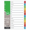Treeline Dividers Jan to Dec Printed Deep Tint Board Assorted - A4 Photo