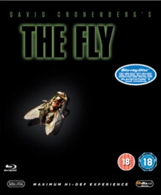 Photo of Fly