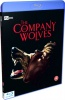 Company of Wolves Photo