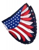 Dreamy Dress Ups Bald Eagle USA Wings Photo
