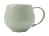 Maxwell Williams Maxwell & Williams - Tint Snug Mug - Mint Photo