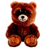 Feisty Pets Bear Photo