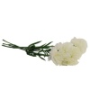 Price & Son's Carnation Bunch - 59 mm Photo