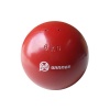 Winner Shot Put Turned Ball - 6kg Photo