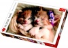 Trefl Sleeping Kittens - 500 Piece Puzzle Photo