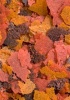 Ocean Nutrition Brine Shrimp Plus Flake Food - 70g Photo