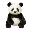 Douglas Toys Paya Panda Photo