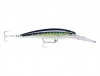 Rapala X-Rap Magnum 40 Lure - SFU Photo