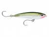 Rapala X-Rap Saltwater Subwalk 9 Lure - OG Photo