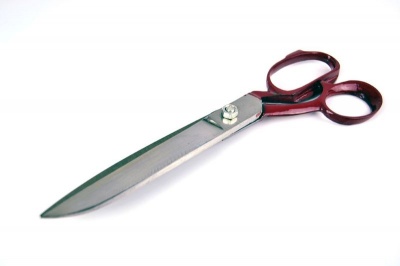 Photo of SourceDirect Stainless Steel Tailor Scissors - 250mm