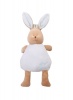 FlyByFly Bunny Backpack - Green Photo