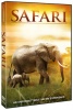 Safari Photo