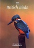 British Birds Photo