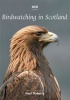 Birdwatching in Scotland Photo
