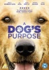 Dog's Purpose Photo