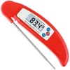 Backlit Digital Meat Thermometer Photo