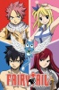 Fairy Tail Quad Poster Photo