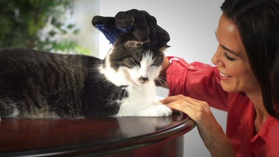 Photo of TrueTouch Deshedding Glove for Gentle Pet Grooming