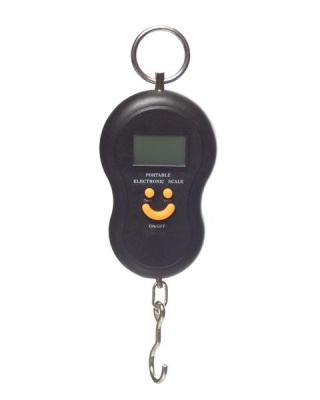 Photo of Drifter Compact Luggage Scale Black