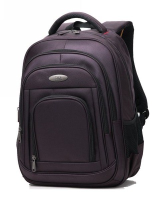 Photo of Charmza Laptop Backpack - Purple
