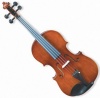 Sonata Viola Student Model Photo