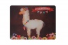 Hey Casey! No-Prob Ilama Quote Mouse Pad Photo