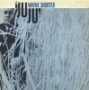 Shorter Wayne - Juju - Photo